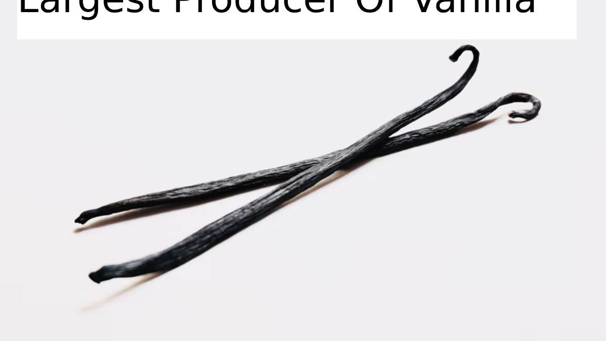 Largest Producer Of Vanilla Beans