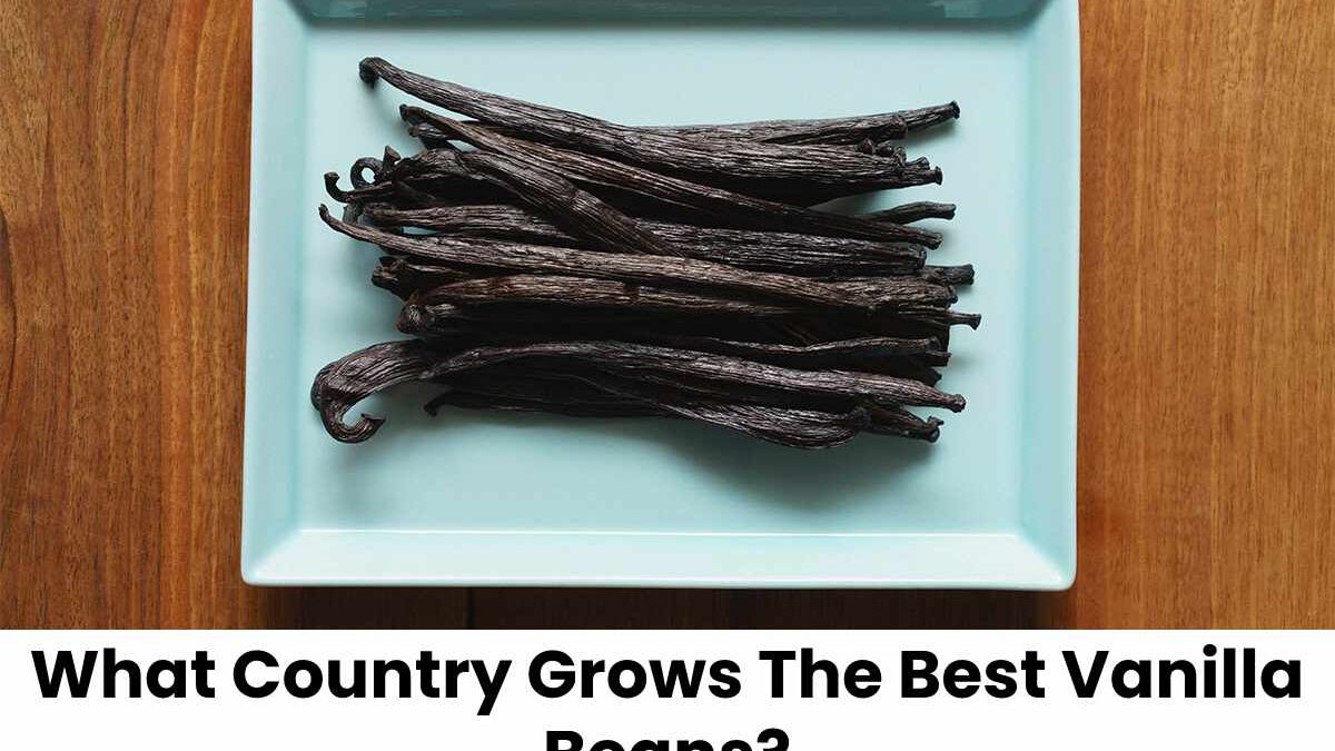 What Country Grows The Best Vanilla Beans?