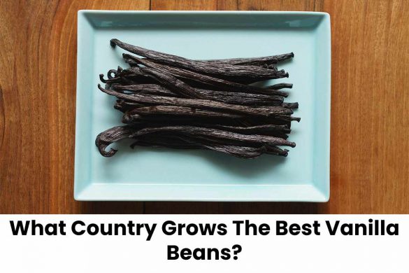 What Country Grows The Best Vanilla Beans?