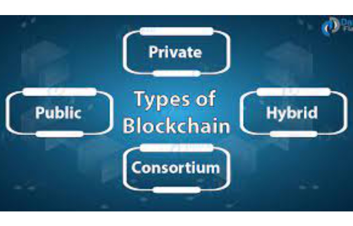 What different Blockchain networks are there?