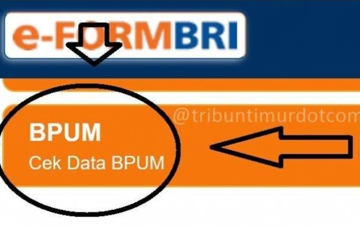 Https //eform.bri.co.id/bansos/penerima_bpum daftar