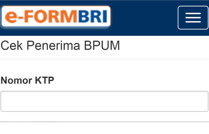 Eform bri