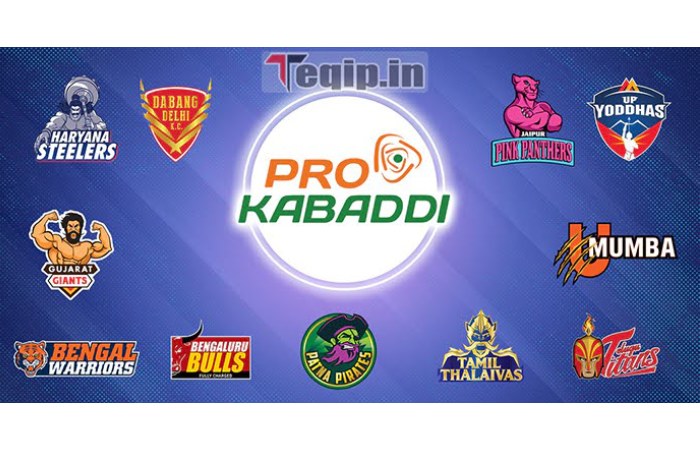 Pro Kabaddi Format and Rules
