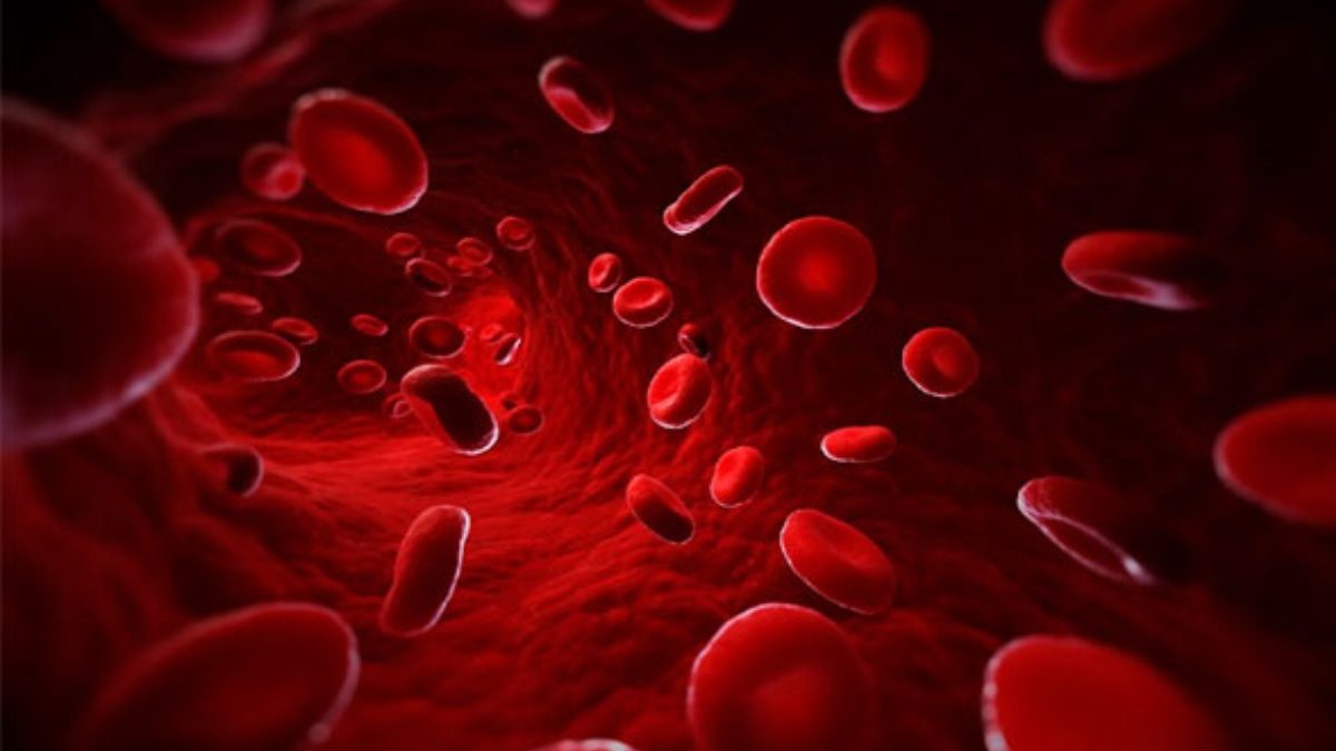 rajkotupdates.news:emm-negative-rare-blood-group-found-in-rajkot-man-11th-such-case-worldwide