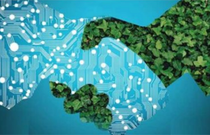 Development Implications of Net