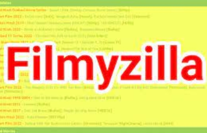 Risks of using Filmy zilla
