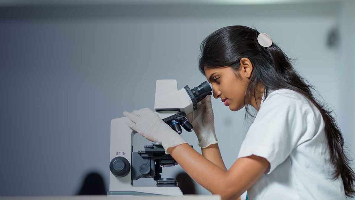 D. Pharm Subject List – An Overview from the College of Pharmacy Curriculum