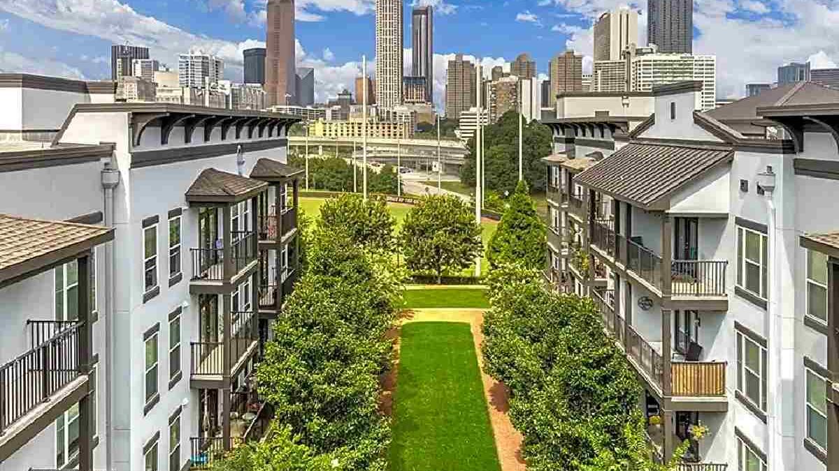 About Camden Vantage & More – Just Buffer 2022