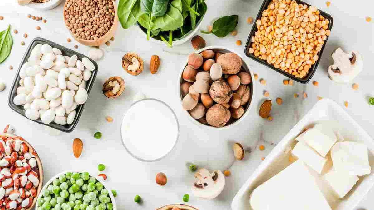 All About wellhealthorganic.com:protein-rich-vegetarian-indian-food-in-hindi