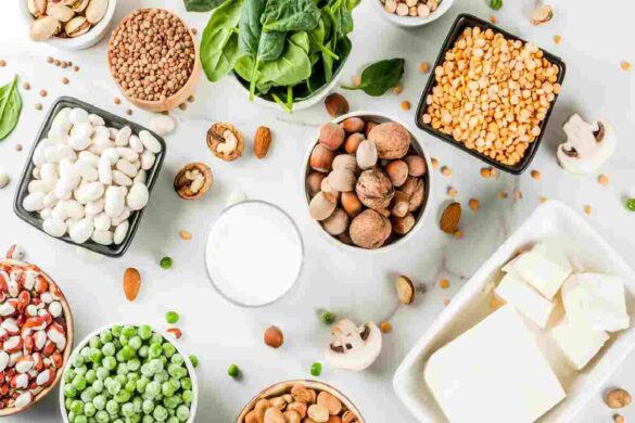 All About wellhealthorganic.com_protein-rich-vegetarian-indian-food-in-hindi (1)