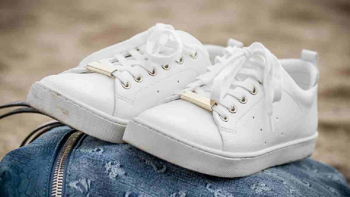 The Shoe Company: Establishment, Designer Brands & More