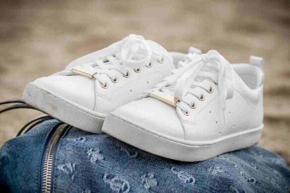 The Shoe Company_ Establishment, Designer Brands & More
