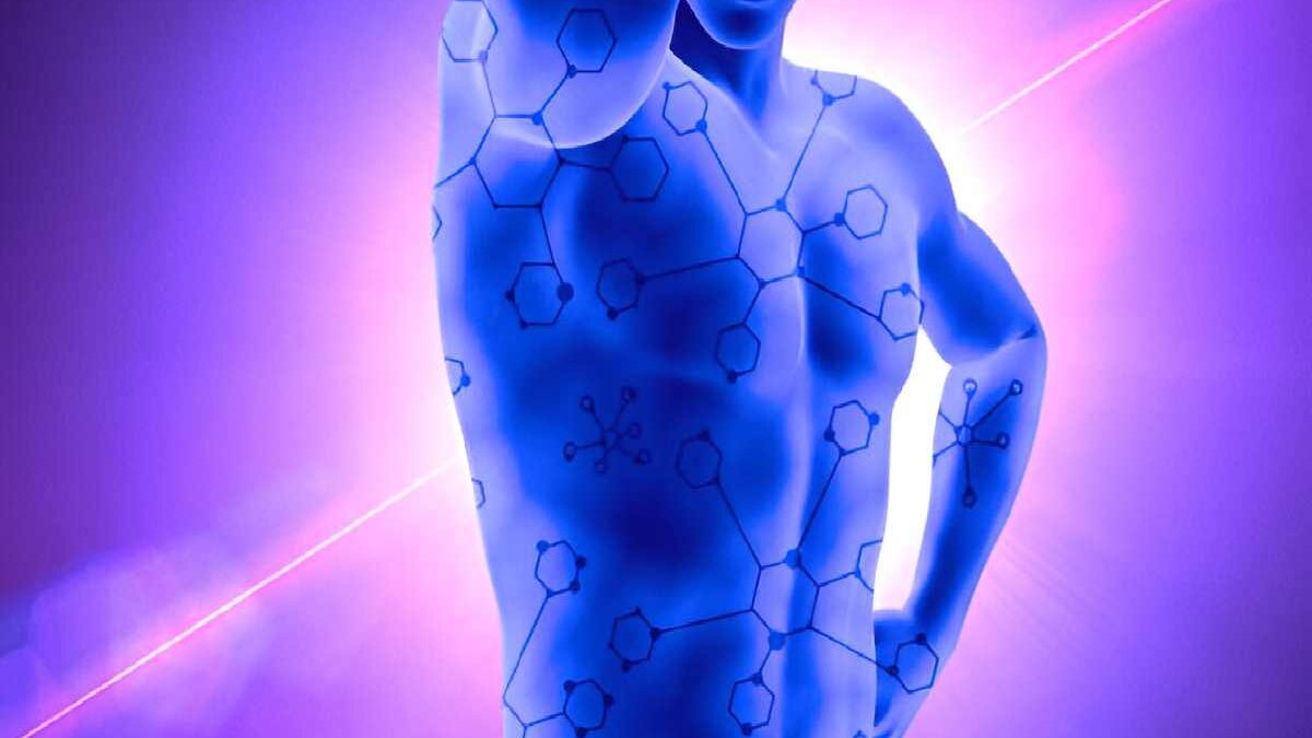 Discovering iofbodies.com: A New Era in Fitness Tech