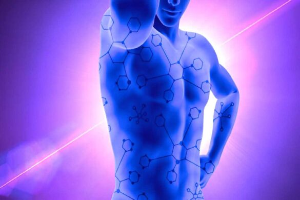 Discovering iofbodies.com_ A New Era in Fitness Tech